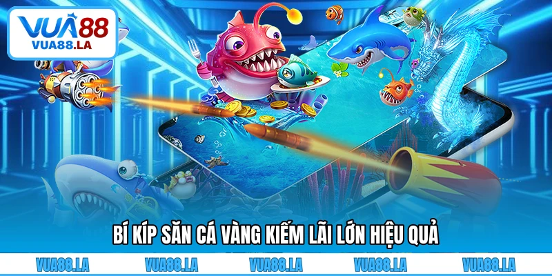 Bí kíp săn cá vàng kiếm lãi lớn hiệu quả