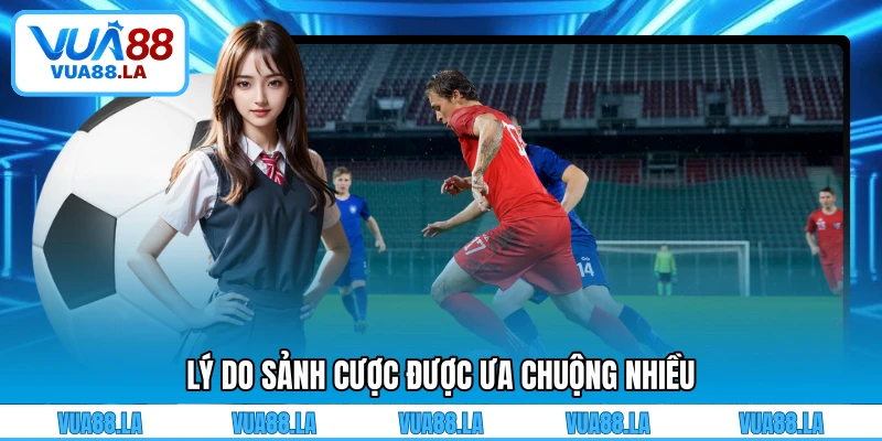 Lý do sảnh cược được ưa chuộng nhiều